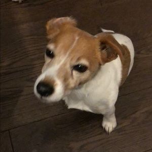 Meet your Posher, Donna